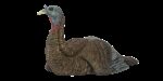 AVIAN X LCD LAYDOWN HEN DECOY