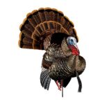 AVIAN X HDR STRUTTER DECOY