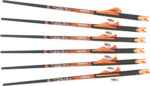 RAVIN XBOW ARROW CARBON W/2