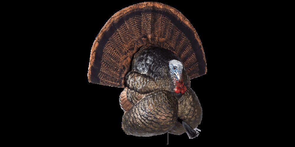 FLEXTONE THUNDER CREEPER