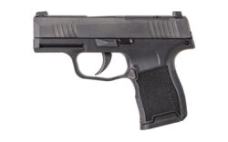 SIGP365380ACP3.1