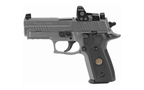 Sig Sauer P229 LEGION RXP  9mm Luger 3.90" Barrel  15+1 Legion Gray Cerakote