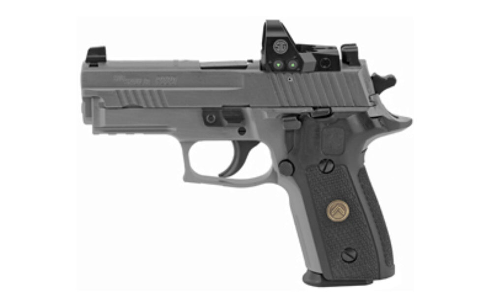 Sig Sauer P229 LEGION RXP  9mm Luger 3.90" Barrel  15+1 Legion Gray Cerakote