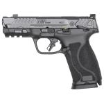 Smith & Wesson M&P Carry Comp 10mm