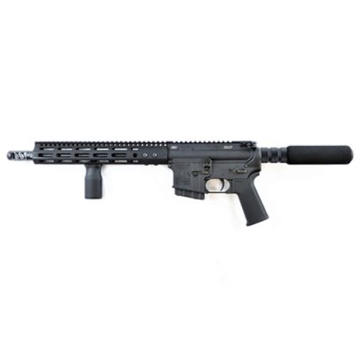 FranklinArmory0030022BLKCA12*CACompliant350Legend12"10+1BlackRecB