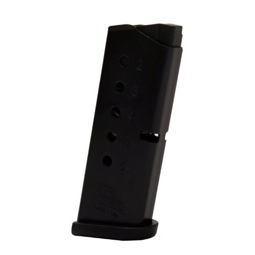 PROMAGS&WBODYGUARD380ACP6RDBL