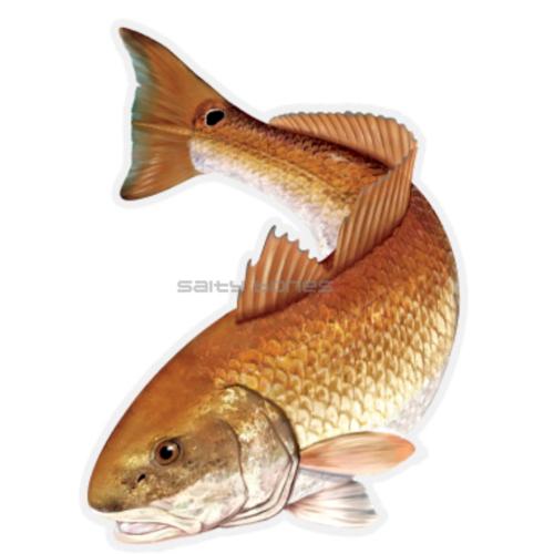 SALTY BONES MEGA FISH STICKER 8x11in REDFISH