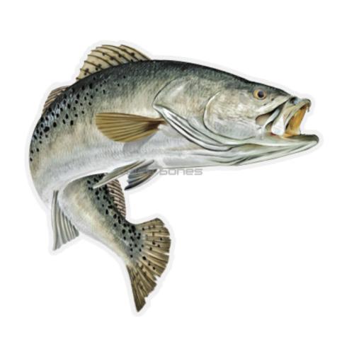 SALTY BONES MEGA FISH STICKER 8x11in SPECKLED TROUT