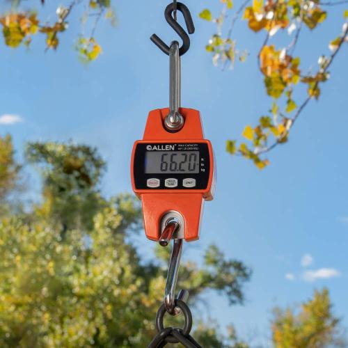 DIGITAL GAME SCALE