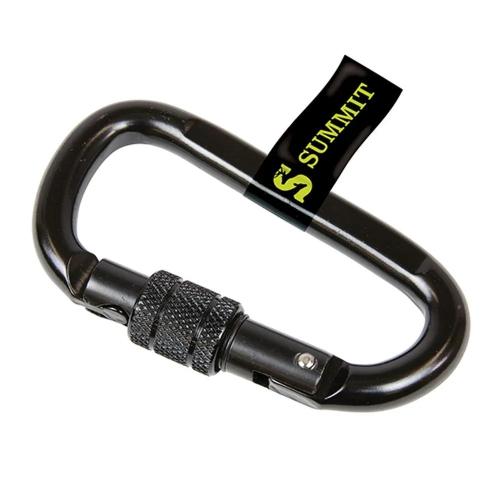 Locking Carabineer- Single