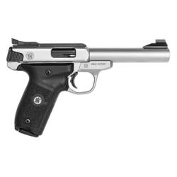 SW22 Victory Target Model  22 LR 5.5