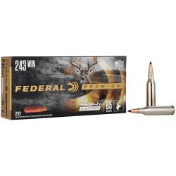FEDERAL P243TC1 243 85 TC 20/10