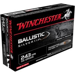 WINCHESTER 243WIN 55GR BALLISTIC SILVERTIP 20/10