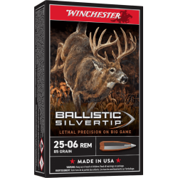 WINCHESTER 25-06REM 85GR BALLASTIC SILVERTIP 20/10