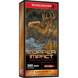 WINCHESTER COPPER IMPACT 150 LF 20/10