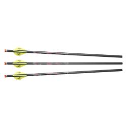 Excalibur Quill Arrows Illuminated Nocks 16.5