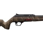 Winchester Wildcat 22