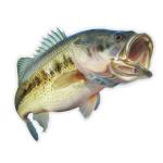 SALTY BONES MEGA STICKER 8.5in X 11in BASS