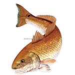 SALTY BONES MEGA FISH STICKER 8x11in REDFISH