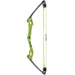 Bear Youth Apprentice Bow