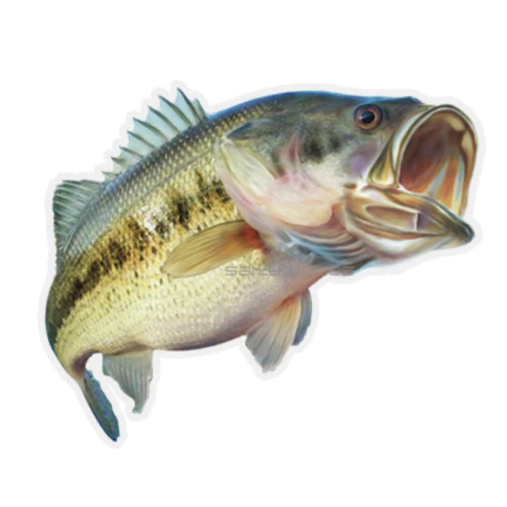 SALTY BONES MEGA STICKER 8.5in X 11in BASS