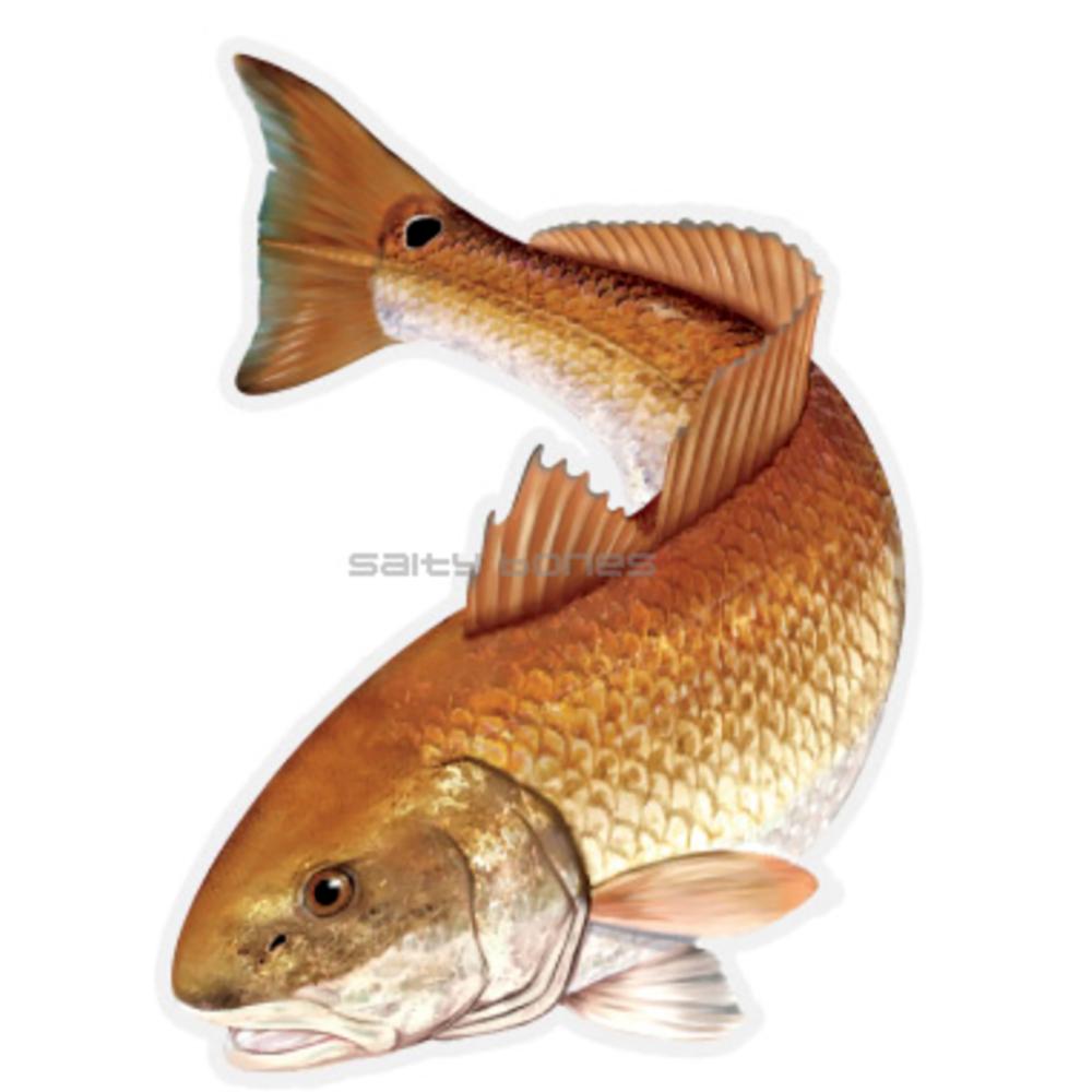 SALTY BONES MEGA FISH STICKER 8x11in REDFISH