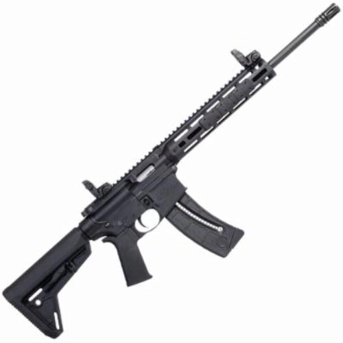 SW M&P15-22 SPORT MOE FDE 25RD