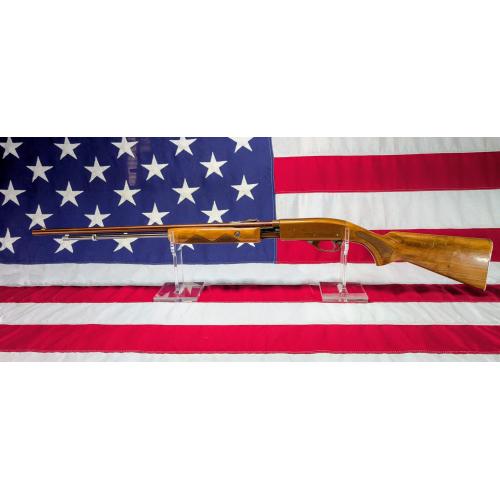 Remington 572 Buckskin 22lr Damaged 