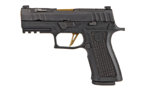 Sig Sauer P320V002 P320 XCarry Spectre 9mm Luger 3.90 17+1 Black Frame with Rail Black Nitron Stainless Steel Slide Black XCompact Laser Engraved Polymer Grip Includes XRay3 Day/Night Sights & 2 Mags