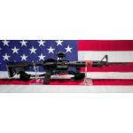 Springfield Victor 5.56 (Consignment)