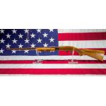 Remington 572 Buckskin 22lr Damaged 