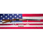 Sig Arms Aurora 12ga (Consignment)