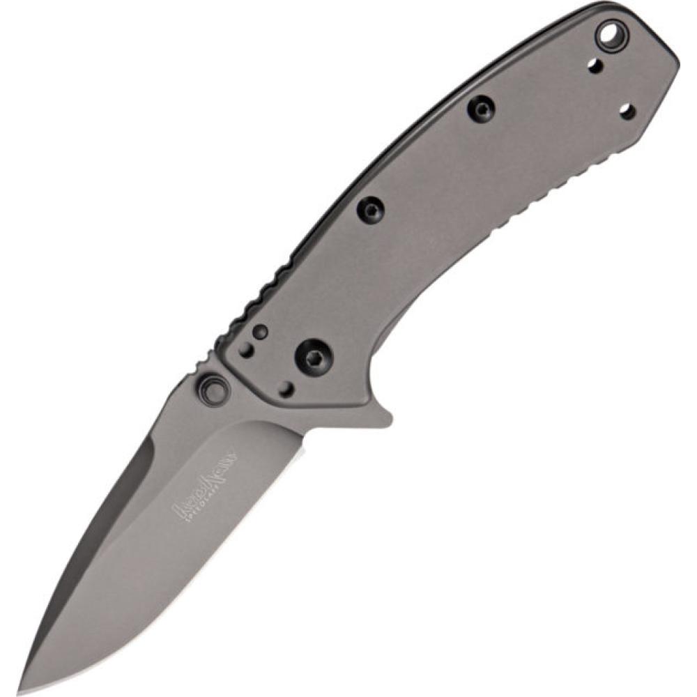 Kershaw Cryo, 2.75" Assisted Folding Knife