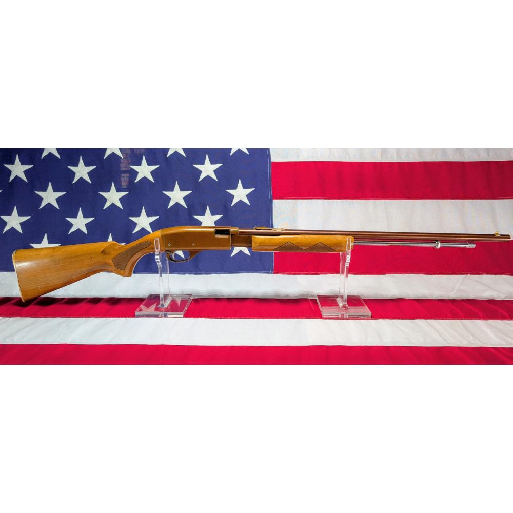 Remington 572 Buckskin 22lr Damaged 