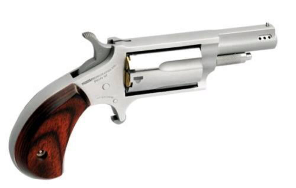 MINI 22MAG/22LR 1-5/8 SS PRTD