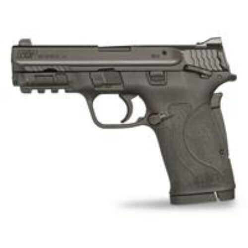 Smith and Wesson M&P M2.0 SHIELD EZ 380 3.675" 8-RD PISTOL