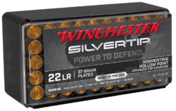 Winchester Ammo Wildcat  22 LR 37 gr Silvertip Hollow Point 50 Bx/40 Cs W22LRST