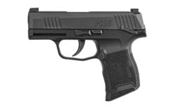 SIG P365 .380ACP 3.1