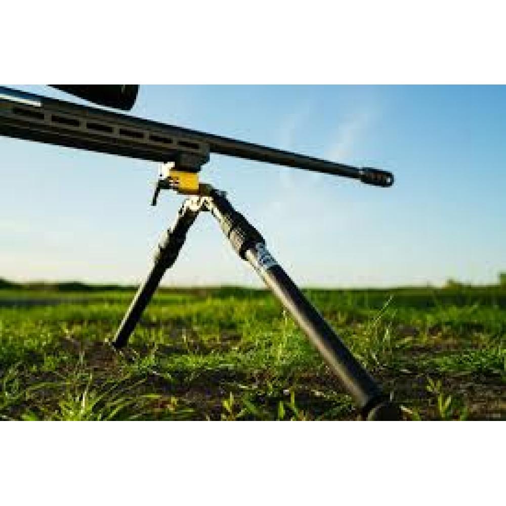 Dauntless Bipod