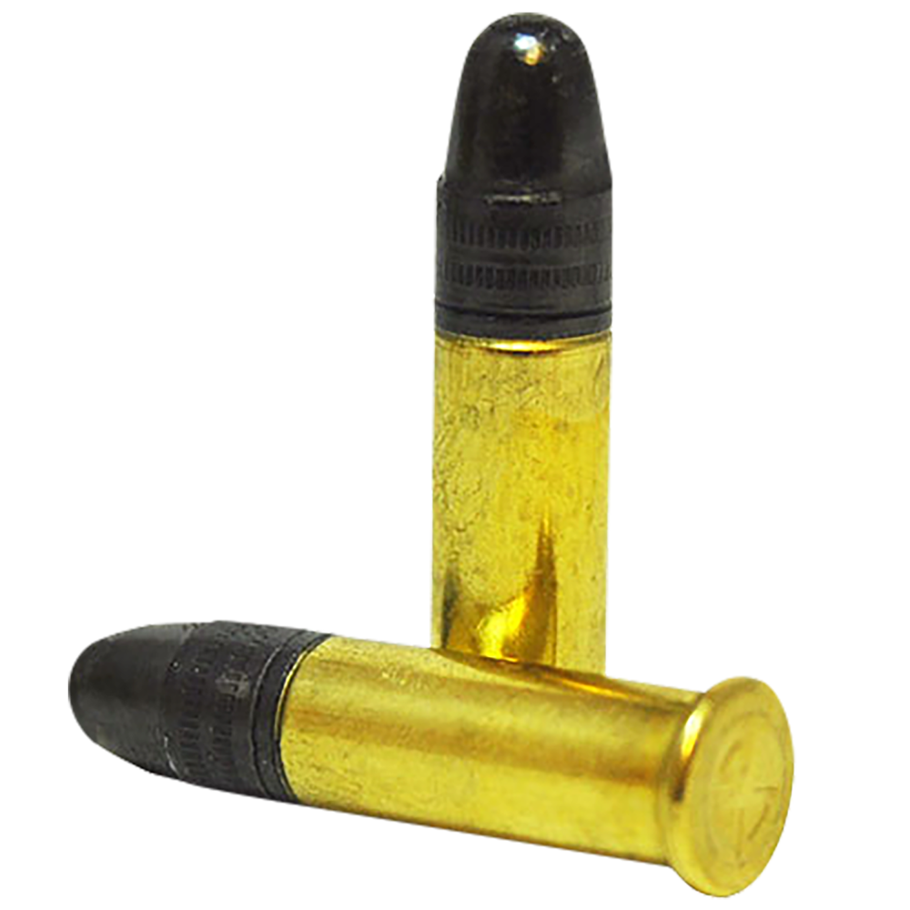 SK Standard Plus  22 LR 40 gr