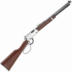 Henry H001TER Frontier Carbine Evil Roy 22 Short, 22 Long or 22 LR Caliber with 12 LR/16 Short Capacity, 17 Blued Barrel, Brushed Nickel Metal Finish & American Walnut Stock Right Hand (Full Size)