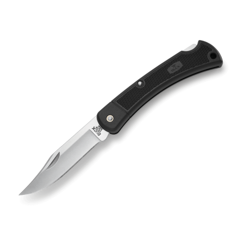 Buck 110 Folding Hunter LT | 420HC