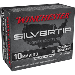 Winchester 10mm Silver Tip 175gr 20rd Box
