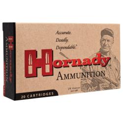 Hornady Custom 450 Bushmaster 250gr 20rd Box