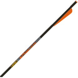 Gold Tip Ballistic 425 | 20