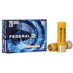 Federal power Shok | 20 Gauge Rifled Slug | 2 3/4
