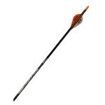 Easton Axis Sport 400 Spine