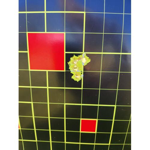 450 Bushmaster 200 grain Copper
