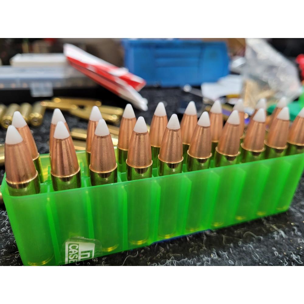 450 Bushmaster 200 grain Copper