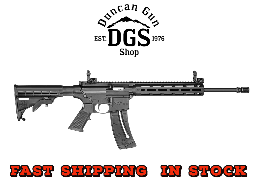 Smith & Wesson M&P 15-22 Sport 22LR -img-0